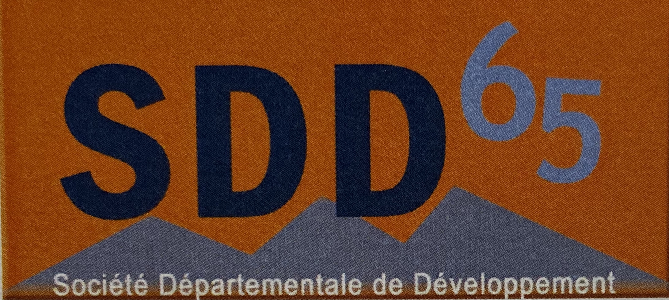 logo sdd65